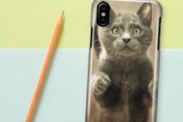 Cat Phone Case
