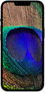 iPhone 13 Pro in black with peacock feather background